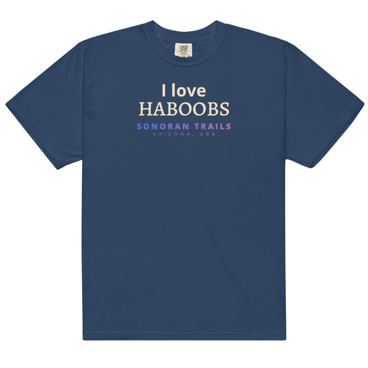 Haboobs